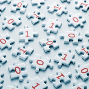 Desarrollo de software